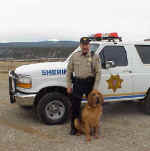 Tom.jpg (14316 bytes)